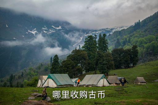 洛陽哪里收購錢幣,珍藏錢幣哪里能收購