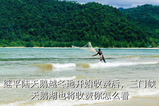 繼平陸天鵝越冬地開始收費后，三門峽天鵝湖也將收費你怎么看