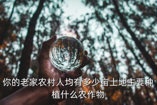 河南農村種地一家有多少地,河南農村有一百畝承包地
