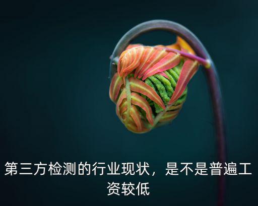 第三方檢測的行業(yè)現(xiàn)狀，是不是普遍工資較低