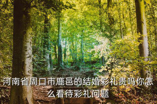 河南省周口市鹿邑的結婚彩禮貴嗎你怎么看待彩禮問題