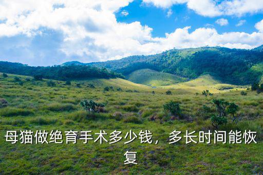 母貓做絕育手術(shù)多少錢(qián)，多長(zhǎng)時(shí)間能恢復(fù)