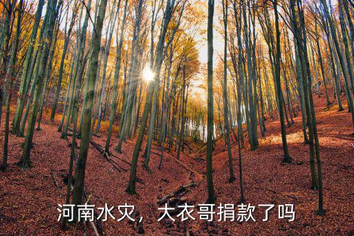 包貝爾捐款了多少河南,河南洪災你捐款了嗎