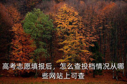 高考志愿填報后，怎么查投檔情況從哪些網站上可查