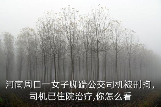 河南周口一女子腳踹公交司機被刑拘，司機已住院治療,你怎么看