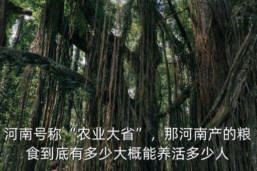 河南號稱“農(nóng)業(yè)大省”，那河南產(chǎn)的糧食到底有多少大概能養(yǎng)活多少人