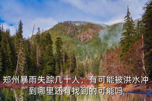 鄭州暴雨后步行街搬哪里了,鄭州暴雨后半年