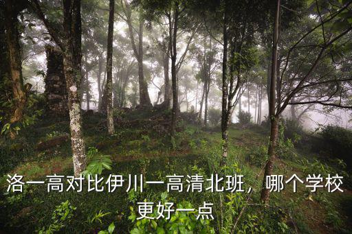 洛一高對比伊川一高清北班，哪個學校更好一點
