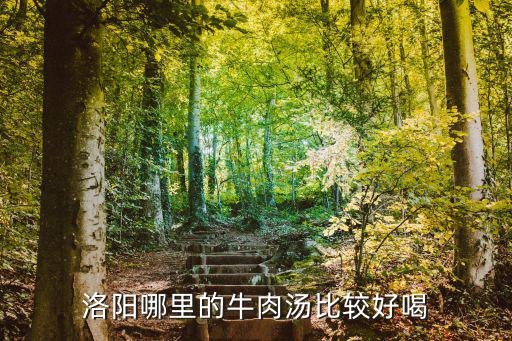 洛陽哪里的牛肉湯比較好喝