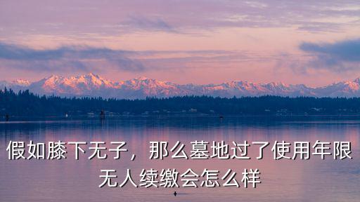 假如膝下無(wú)子，那么墓地過(guò)了使用年限無(wú)人續(xù)繳會(huì)怎么樣