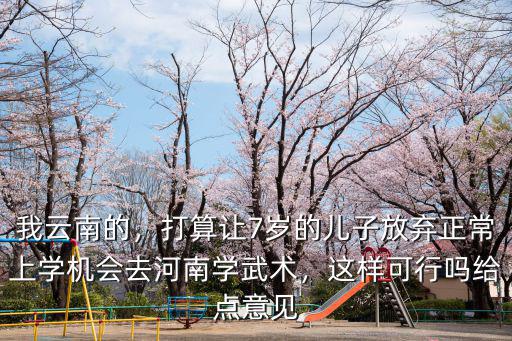 我云南的，打算讓7歲的兒子放棄正常上學機會去河南學武術，這樣可行嗎給點意見
