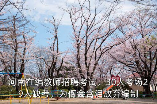 河南省教師編制考試怎么樣,考個教師怎么樣