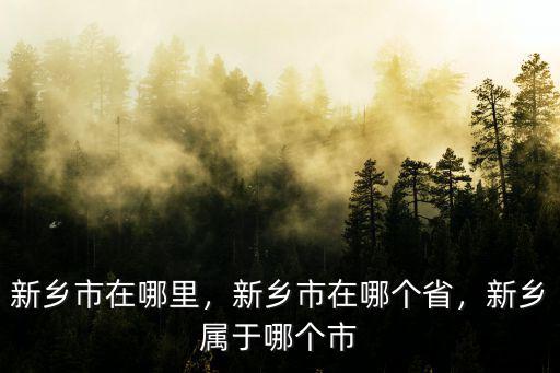 新鄉市在哪里，新鄉市在哪個省，新鄉屬于哪個市