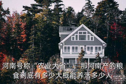 河南號稱“農業大省”，那河南產的糧食到底有多少大概能養活多少人