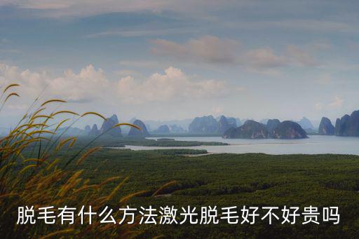脫毛有什么方法激光脫毛好不好貴嗎