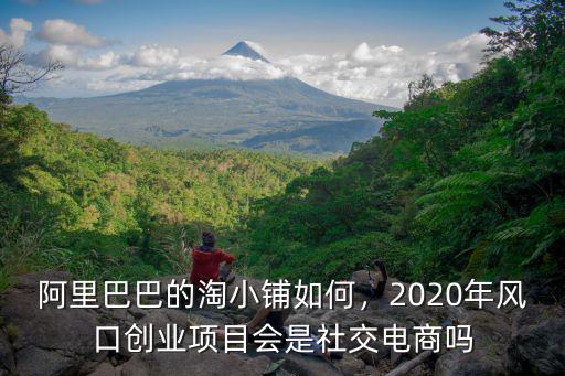 阿里巴巴的淘小鋪如何，2020年風口創業項目會是社交電商嗎