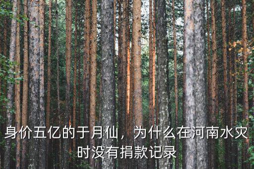身價五億的于月仙，為什么在河南水災(zāi)時沒有捐款記錄