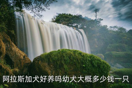 商丘市寧陵阿拉斯加犬多少錢,阿拉斯加犬好養(yǎng)嗎