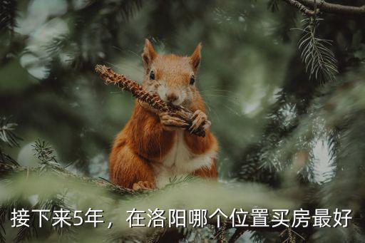 接下來(lái)5年，在洛陽(yáng)哪個(gè)位置買房最好