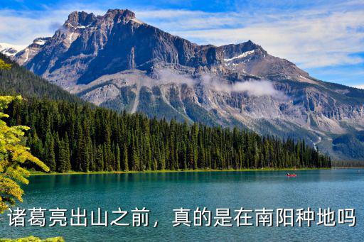 南陽種地前景怎么樣,真的是在南陽種地嗎