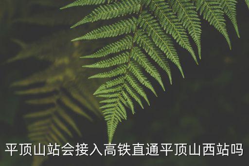 平頂山站會接入高鐵直通平頂山西站嗎