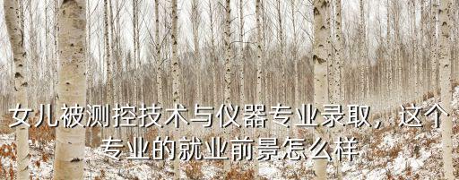 河南力安測控前景怎么樣,不知道以后前景怎么樣