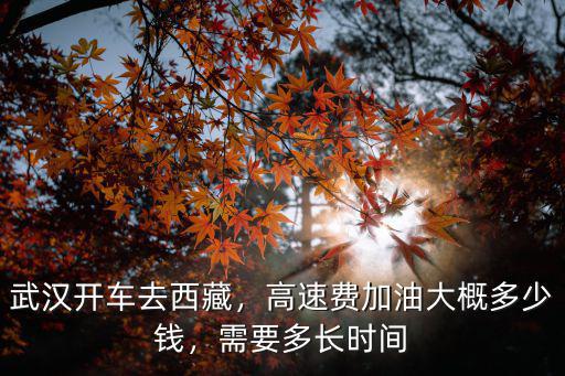 武漢開車去西藏，高速費(fèi)加油大概多少錢，需要多長(zhǎng)時(shí)間
