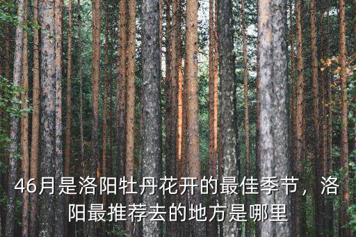 46月是洛陽牡丹花開的最佳季節(jié)，洛陽最推薦去的地方是哪里