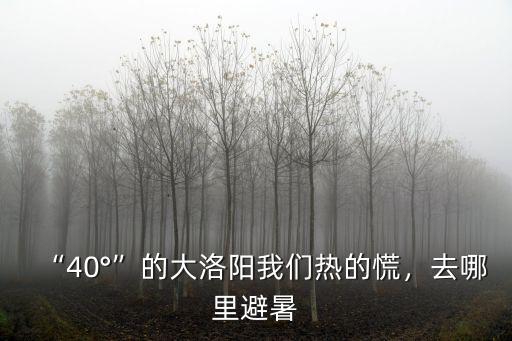 “40°”的大洛陽我們熱的慌，去哪里避暑
