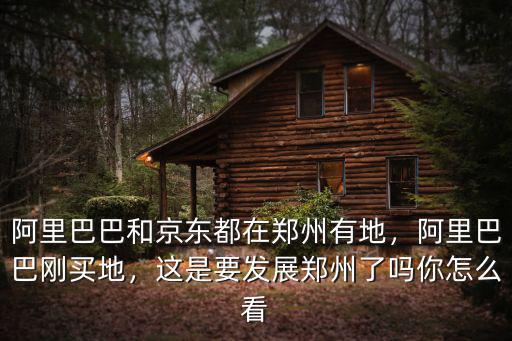 阿里巴巴和京東都在鄭州有地，阿里巴巴剛買地，這是要發展鄭州了嗎你怎么看