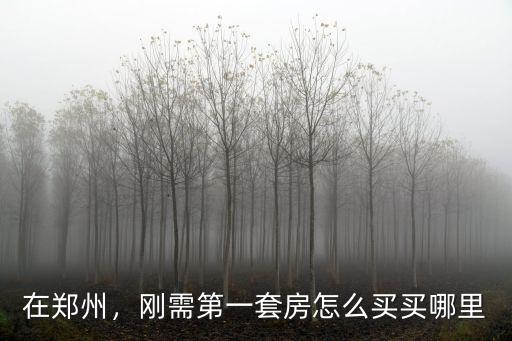 在鄭州，剛需第一套房怎么買買哪里
