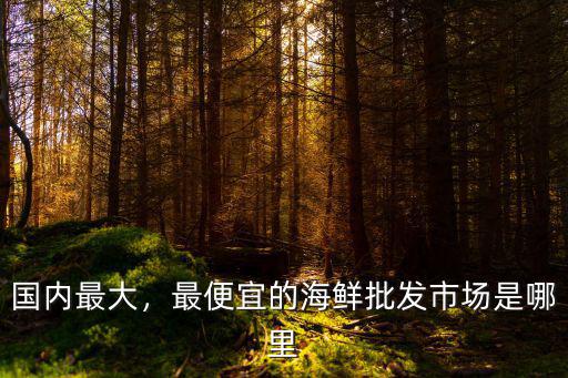 國內(nèi)最大，最便宜的海鮮批發(fā)市場是哪里