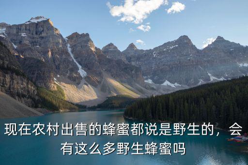 現在農村出售的蜂蜜都說是野生的，會有這么多野生蜂蜜嗎
