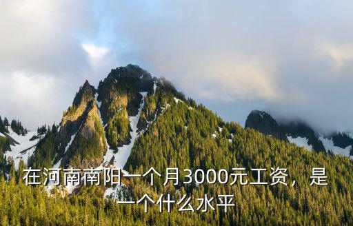在河南南陽一個月3000元工資，是一個什么水平