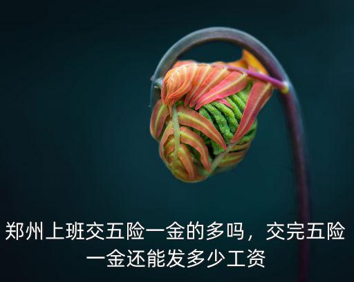 鄭州五險一金怎么用,五險一金怎么用