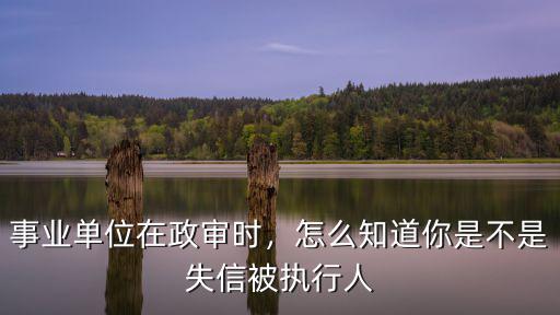 事業單位在政審時，怎么知道你是不是失信被執行人