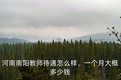 河南南陽教師待遇怎么樣，一個月大概多少錢