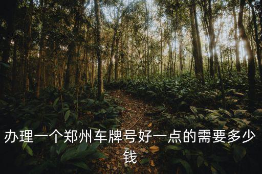 辦理一個鄭州車牌號好一點的需要多少錢
