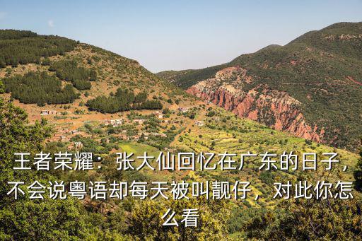 王者榮耀：張大仙回憶在廣東的日子，不會說粵語卻每天被叫靚仔，對此你怎么看