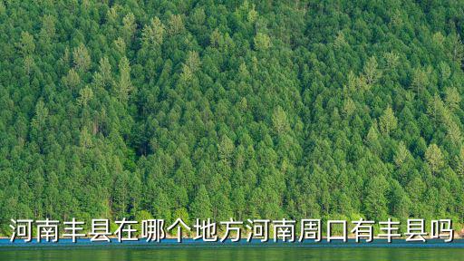 河南豐縣在哪個(gè)地方河南周口有豐縣嗎