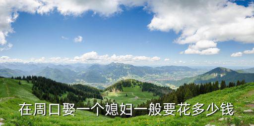 在周口娶一個媳婦一般要花多少錢