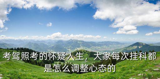 考駕照考的懷疑人生，大家每次掛科都是怎么調(diào)整心態(tài)的