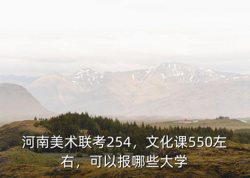 河南美術聯考254，文化課550左右，可以報哪些大學