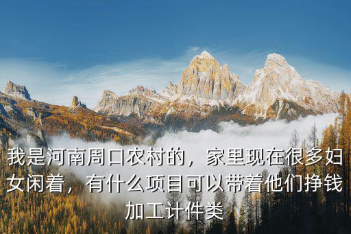 我是河南周口農村的，家里現在很多婦女閑著，有什么項目可以帶著他們掙錢加工計件類