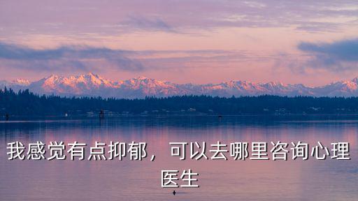 我感覺有點抑郁，可以去哪里咨詢心理醫生