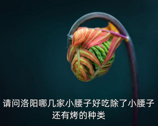 請問洛陽哪幾家小腰子好吃除了小腰子還有烤的種類