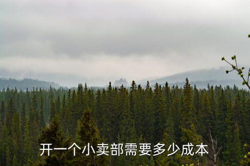 開一個小賣部需要多少成本