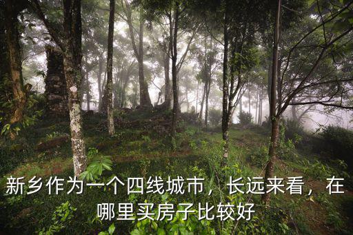 新鄉作為一個四線城市，長遠來看，在哪里買房子比較好