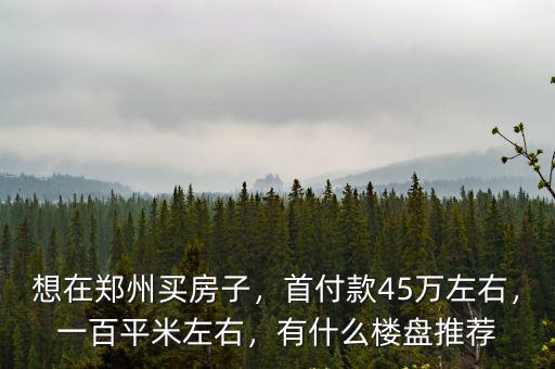 想在鄭州買房子，首付款45萬左右，一百平米左右，有什么樓盤推薦