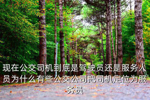 現在公交司機到底是駕駛員還是服務人員為什么有些公交公司把司機定位為服務員